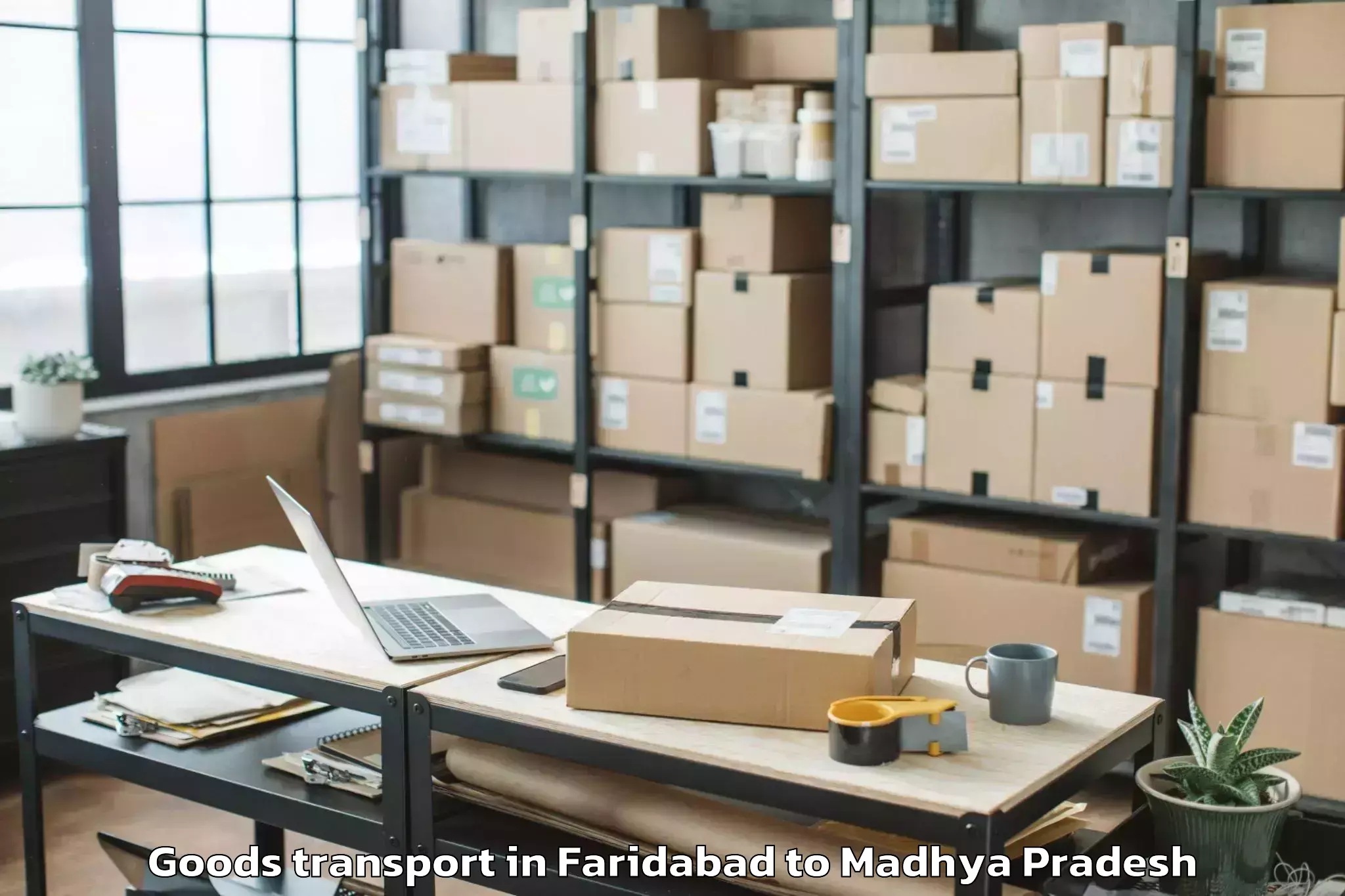 Professional Faridabad to Lahar Goods Transport